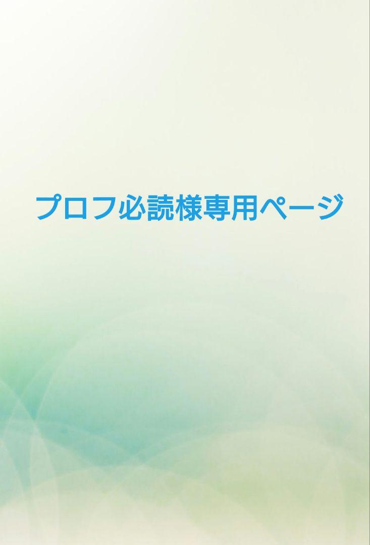 プロフ必読様専用ページ