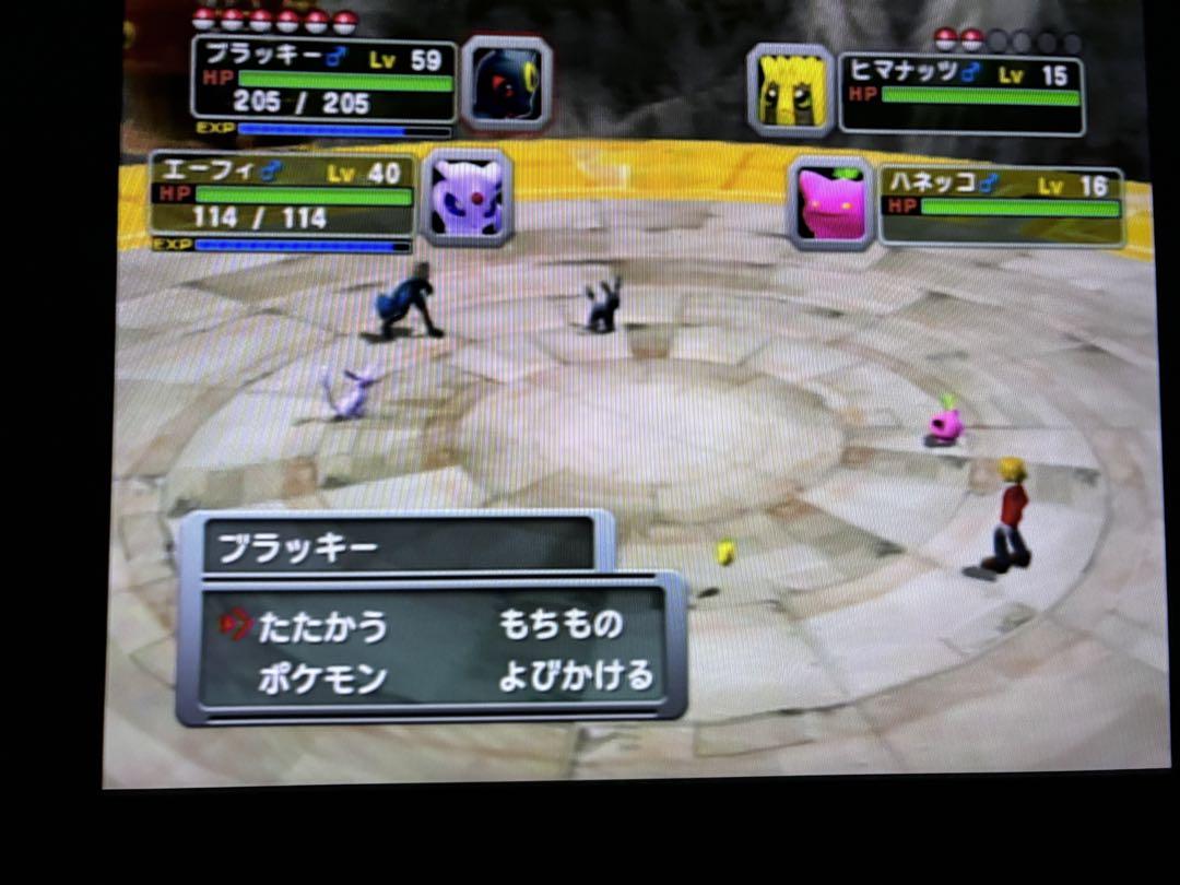 ポケモンXD 闇の旋風ダークルギア　起動確認