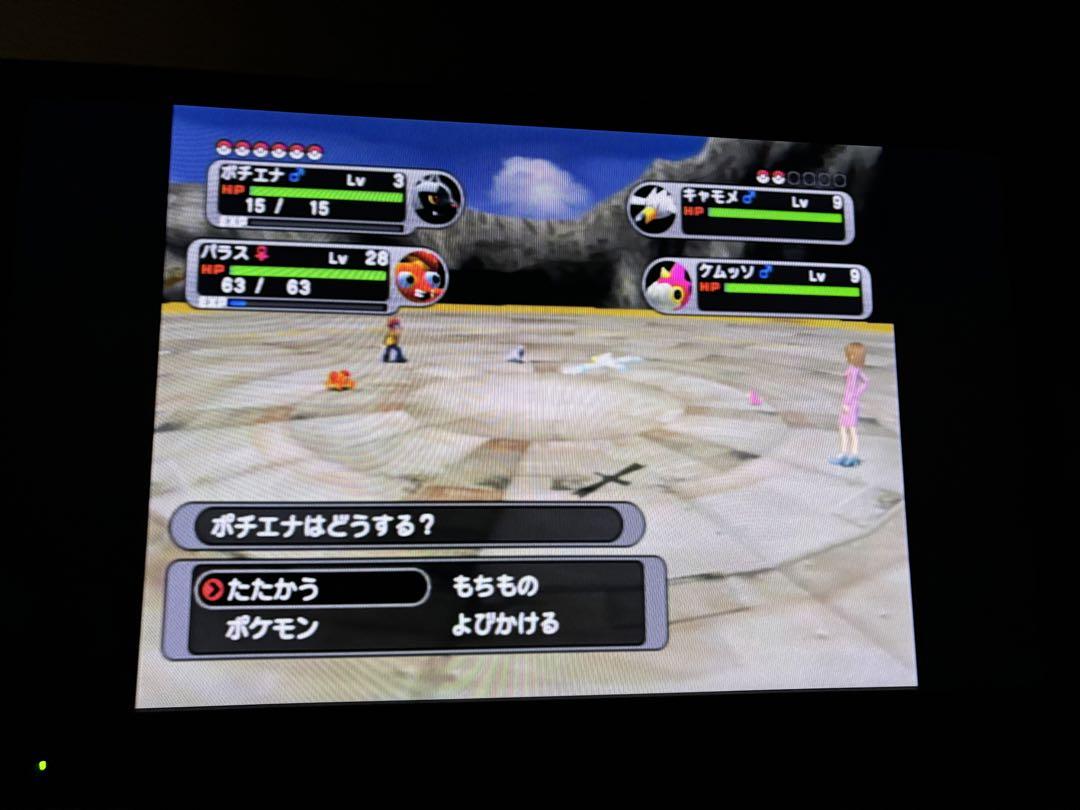 ポケモンXD 闇の旋風ダークルギア　起動確認
