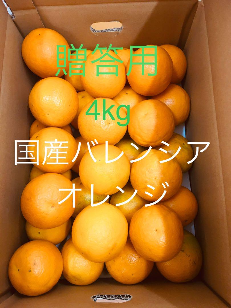 贈答用 国産バレンシアオレンジ LL-L 4kg 和歌山県有田みかん