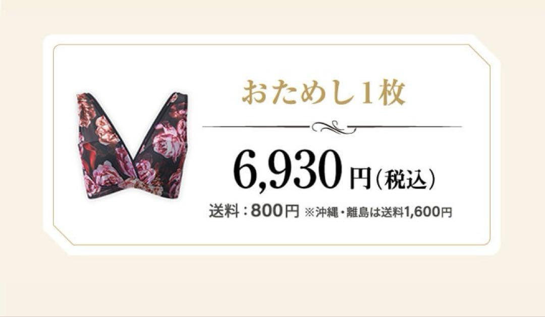 公式の店舗 最終値下DR METHOD ノンジーSophie 補正下着 2点セット 下着・アンダーウェア