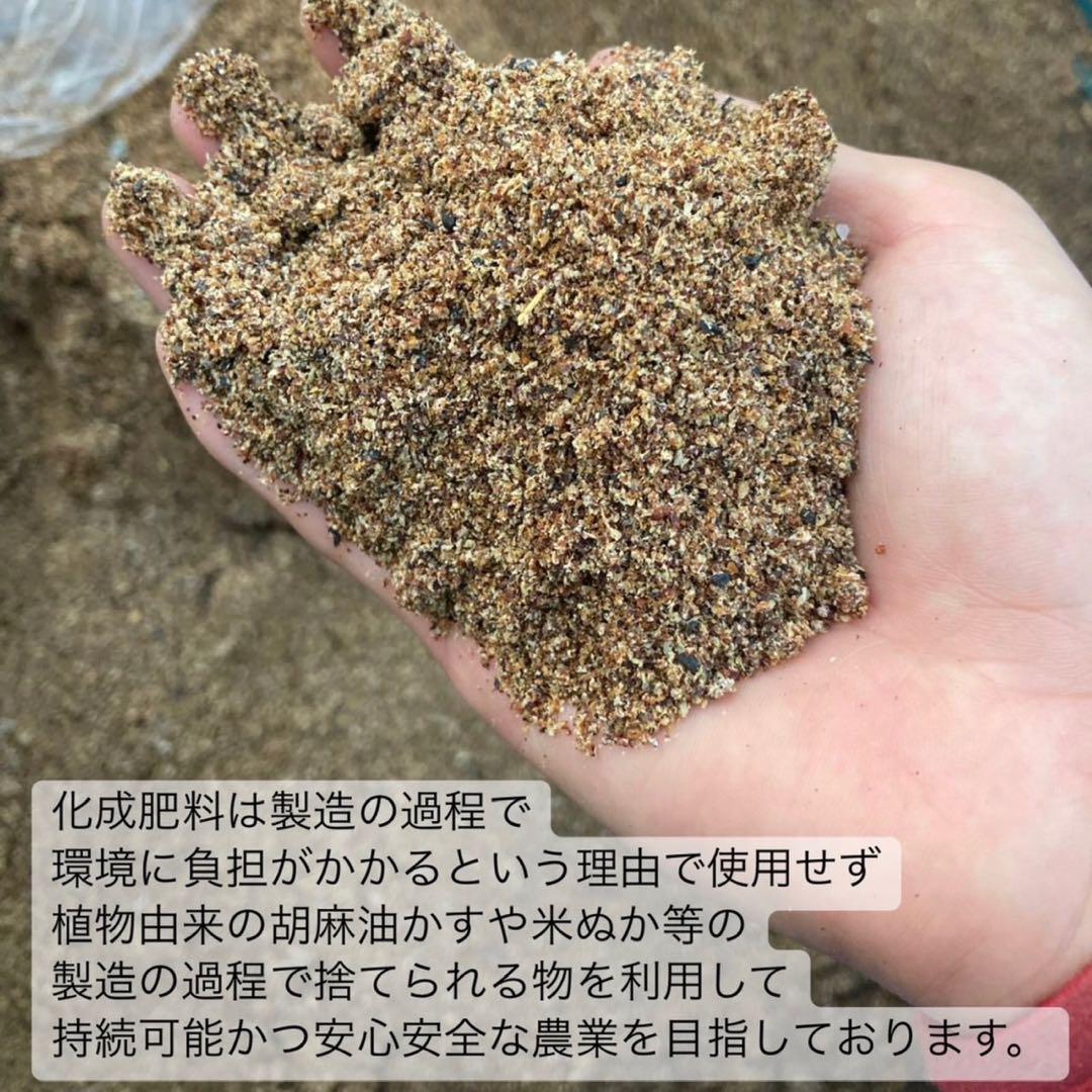 【農薬不使用】便利な個包装スティック50本入り！溶かすだけ簡単パウダータイプ