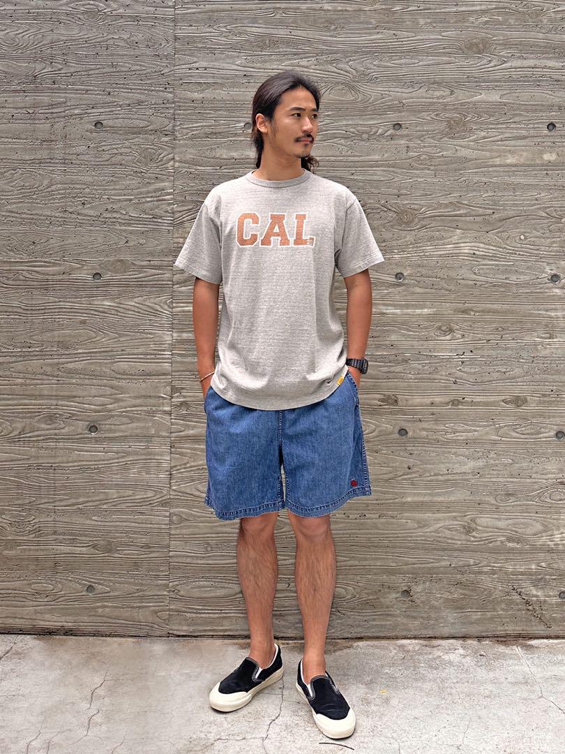 スタンダードカリフォルニア SD 88/12 Logo T gray XL