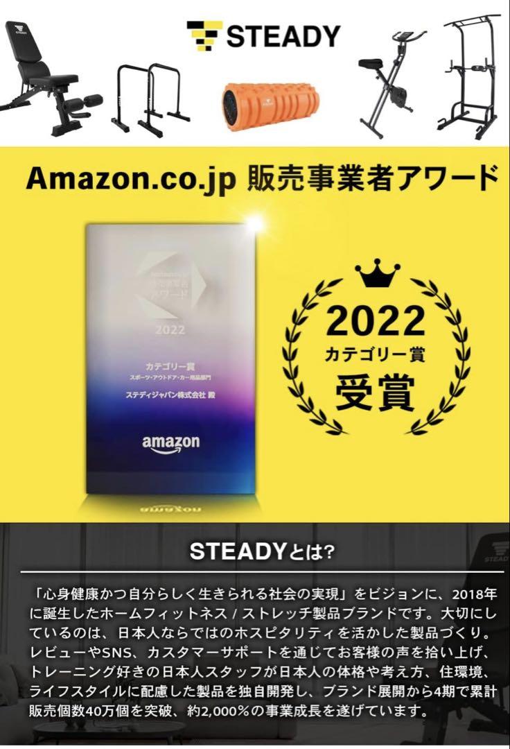 STEADY ステディ インクラインベンチ