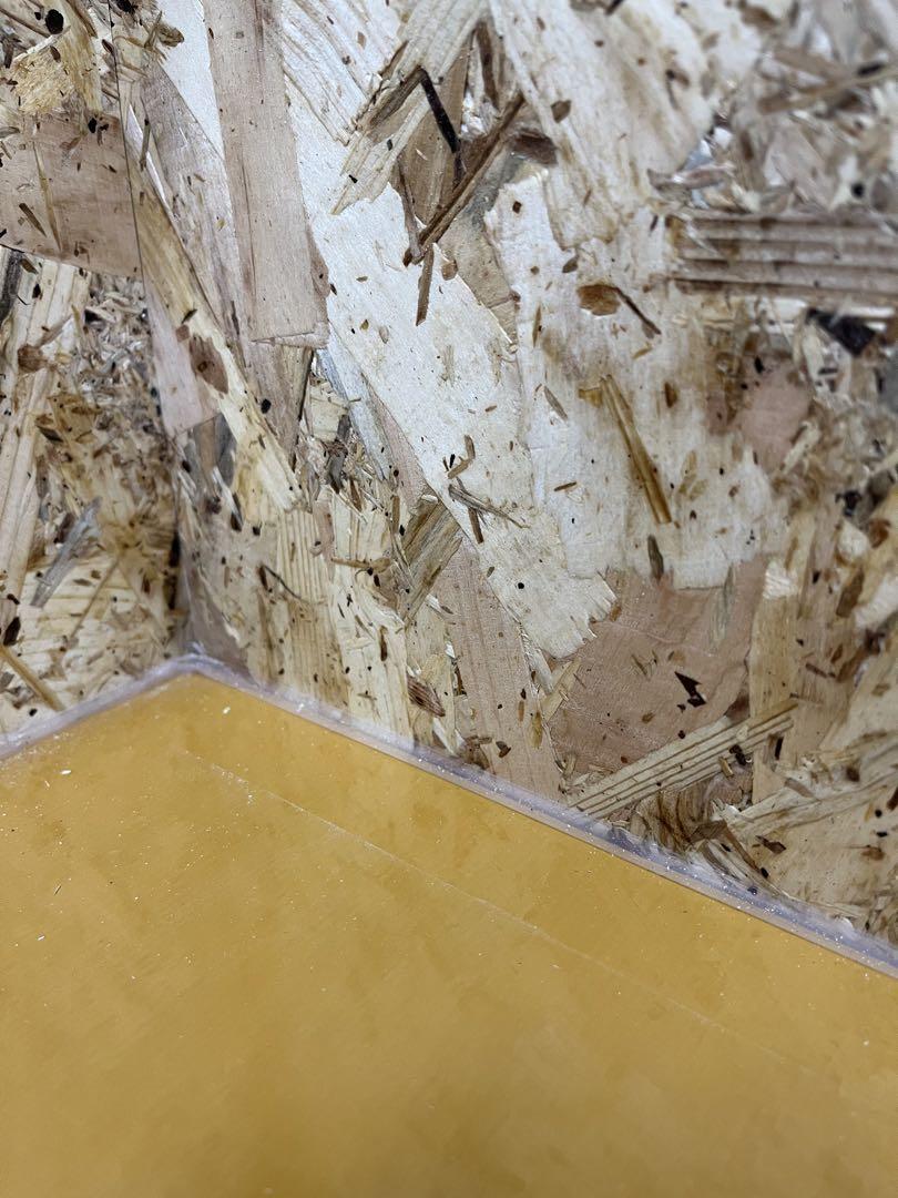 【OKACAGE】爬虫類ケージ　1200×600×450 OSB
