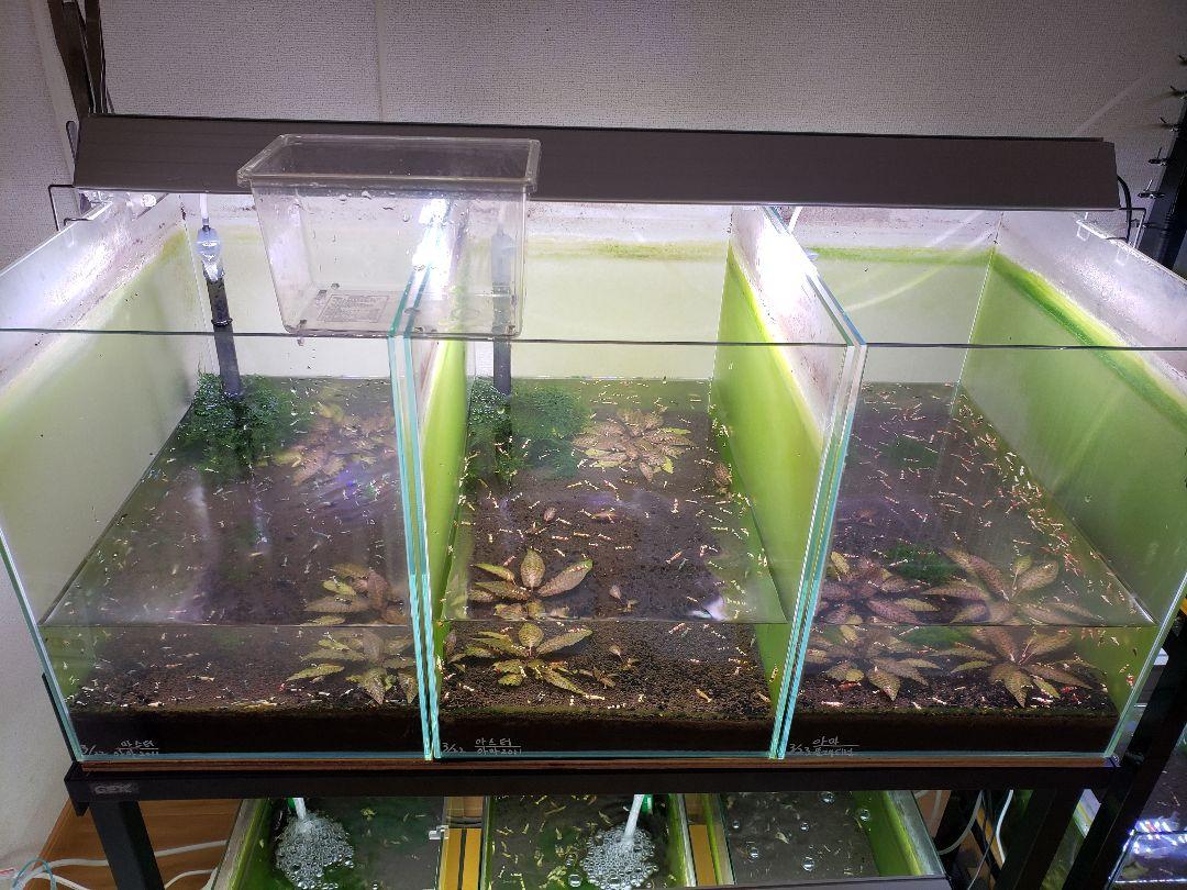 水槽9本水槽台2 LEDライト等々一式