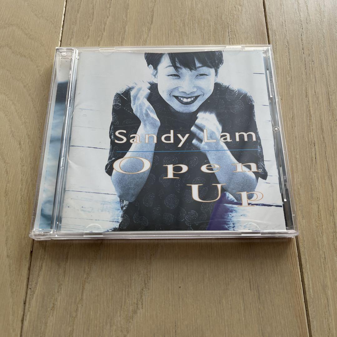 サンディ・ラム 林憶蓮 SANDY LAM Open Up PICL-1096 Sandy Lam – Open Up – CD (Album), 1995 [r11179268] | Discogs