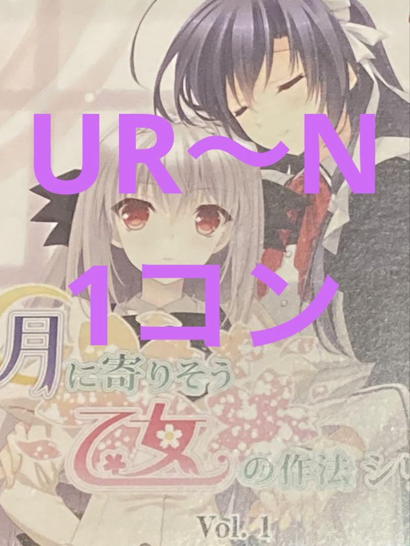 DIVINE CROSS つり乙 SEC ディヴァインクロス/ディバインクロス SEC シリアル 桜小路 ルナ divine cross ディバインクロス
