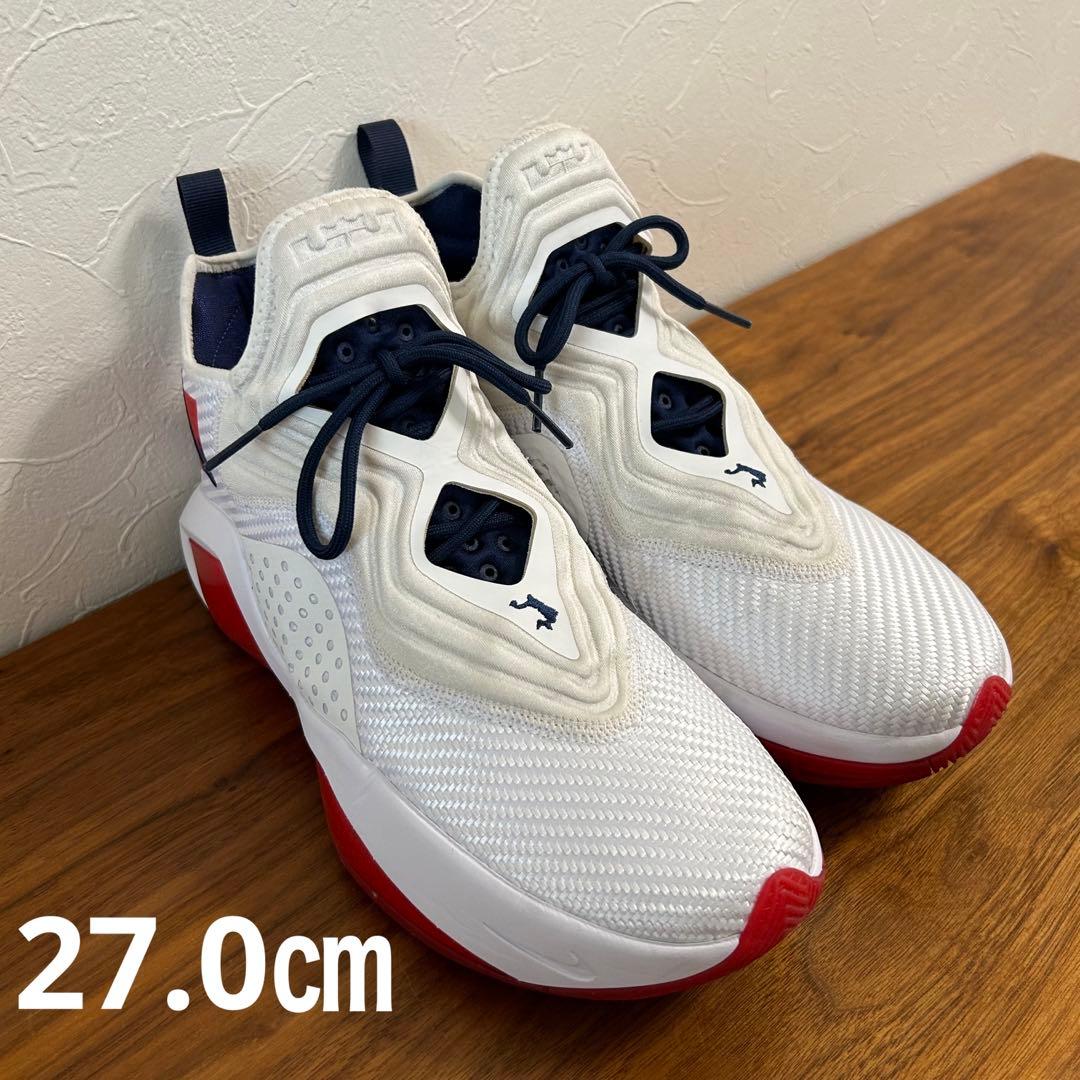 激安先着 【美品】ナイキ レブロン ソルジャー14 27.0㎝ スニーカー