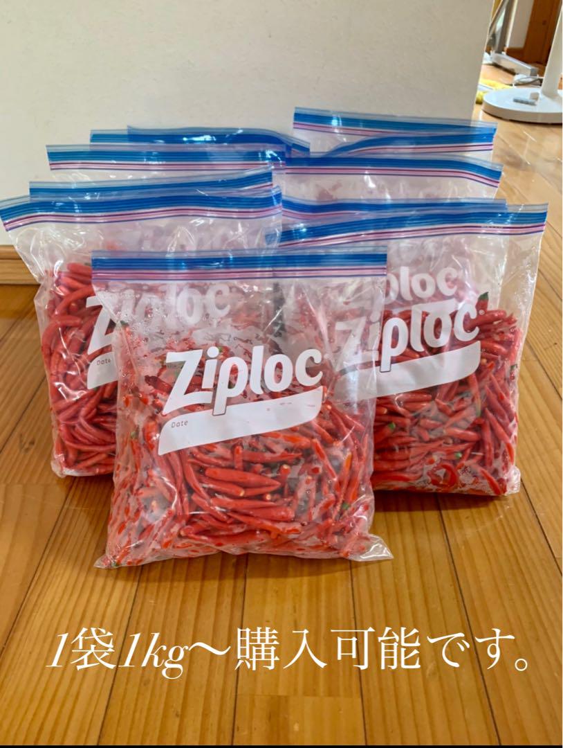 タイ産　赤唐辛子　ピッキーヌ　5kg冷凍保存しています。 タイ産 赤唐辛子 ピッキーヌ 5kg冷凍保存しています。 - 野菜低