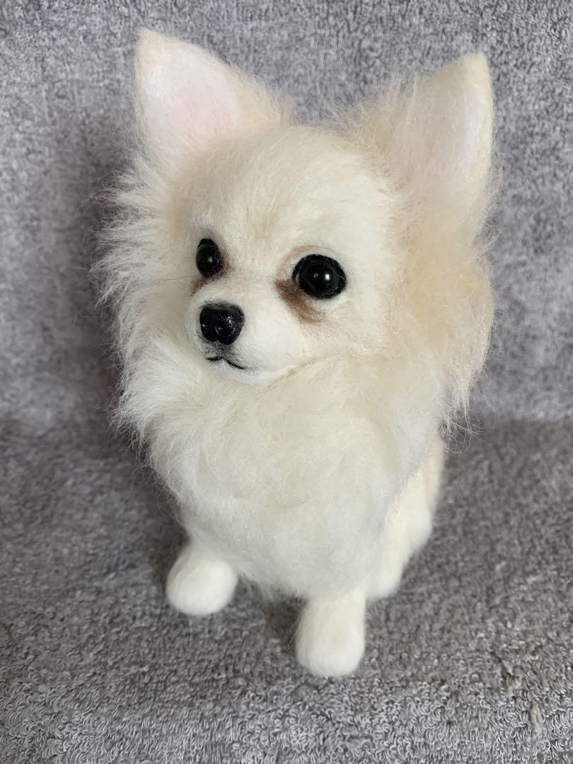 ⭐️マリリンオーダー⭐️ 羊毛フェルト犬・おすわりチワワちゃん