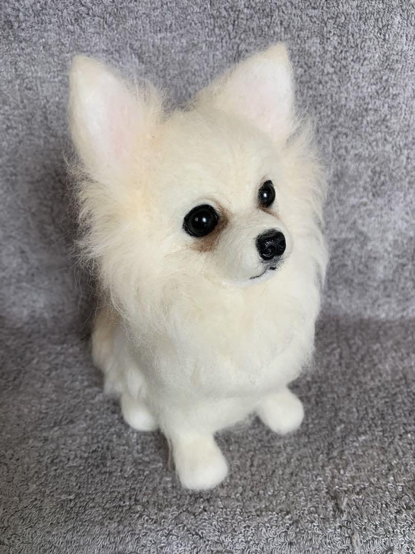 ⭐️マリリンオーダー⭐️ 羊毛フェルト犬・おすわりチワワちゃん