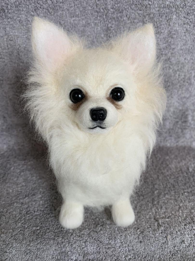 ⭐️マリリンオーダー⭐️ 羊毛フェルト犬・おすわりチワワちゃん