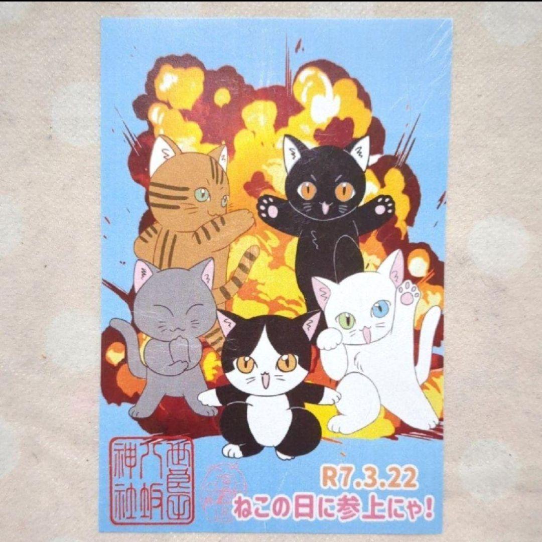【限定】ちびよた