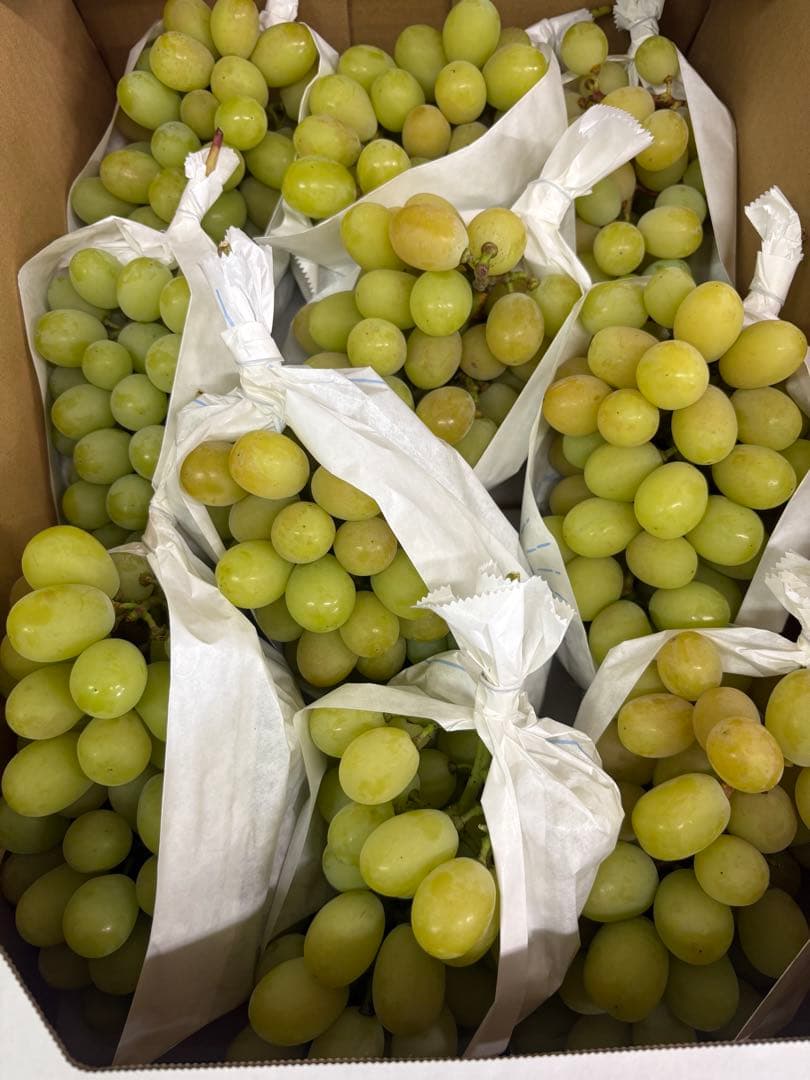 ゲリラ値下げ　随時に消します　シャインマスカット　5kg