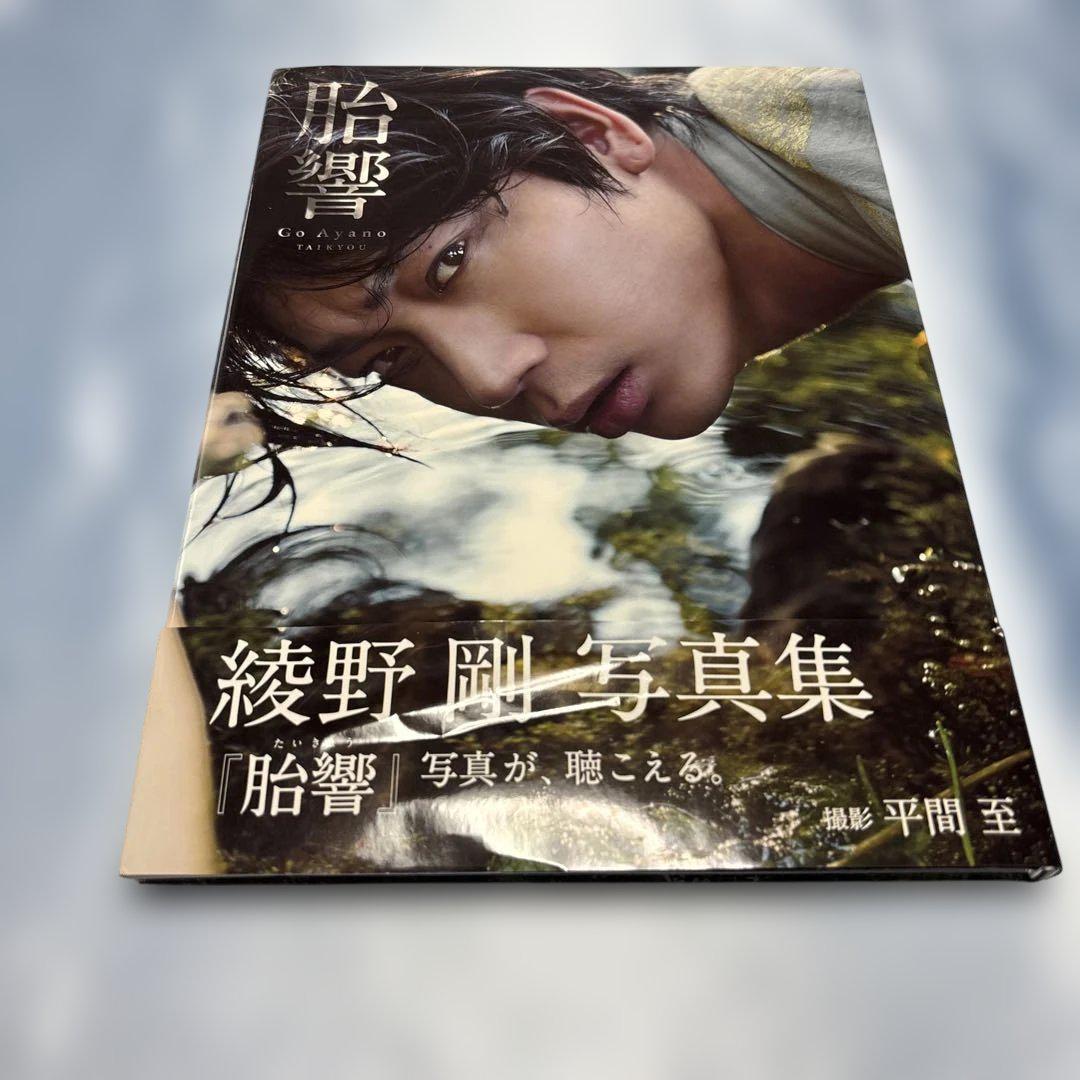 綾野剛 写真集 胎響 新品未開封 シュリンク付き Amazon.co.jp: 綾野剛 写真集 『 胎響 』 : 平間 至: 本