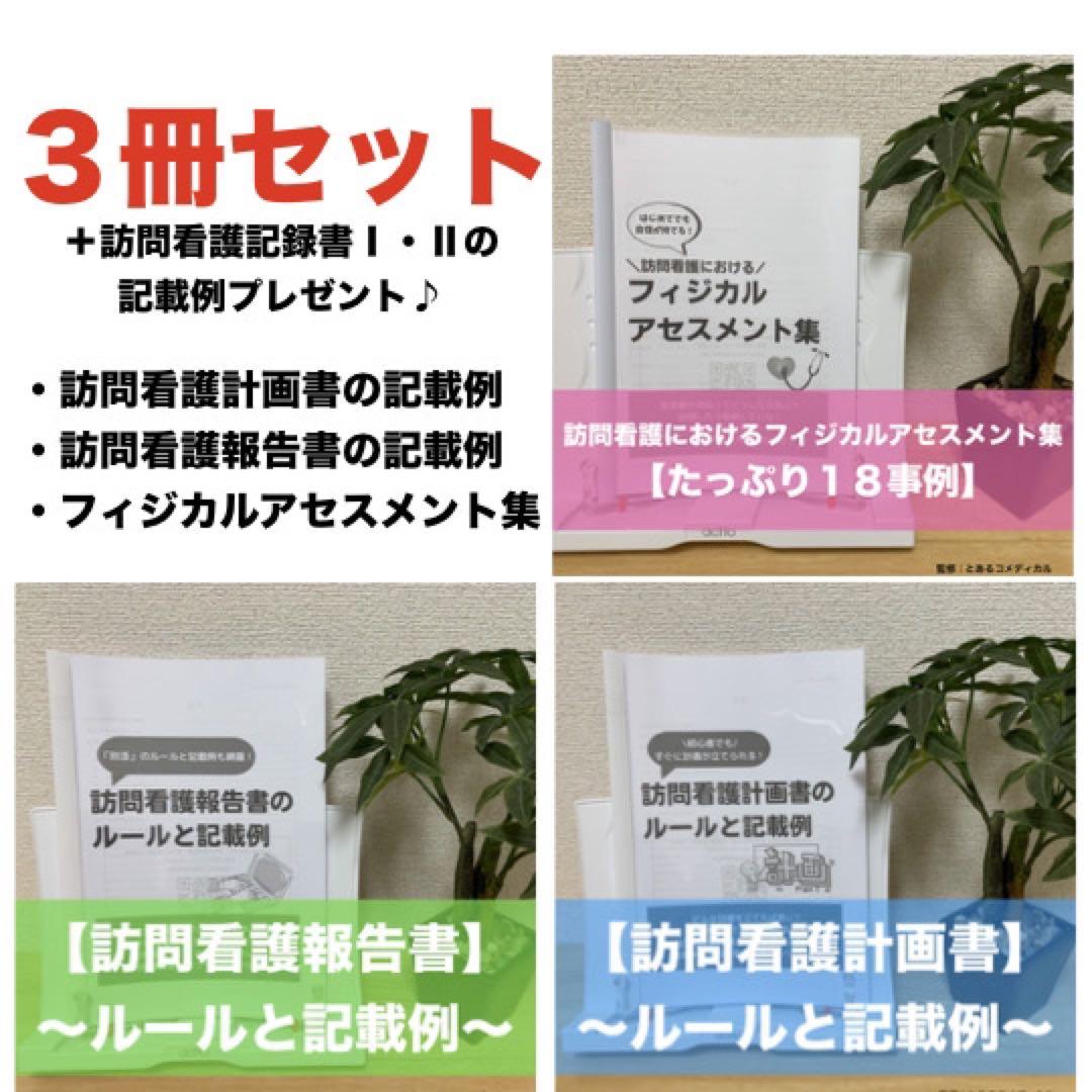 【３冊セット】訪問看護報告書・計画書のルールと記載例＋フィジカルアセスメント集
