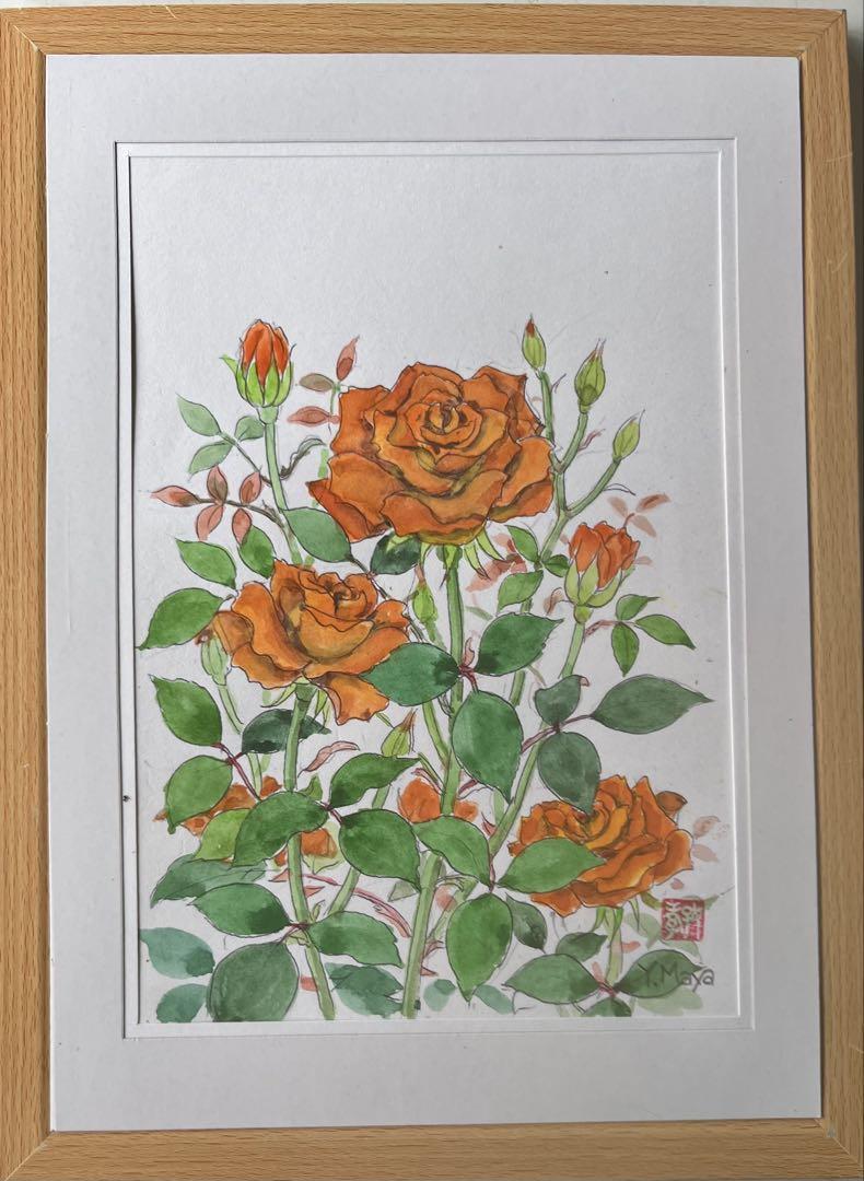 秋の乗鞍　遠望と薔薇の花の2点セット　よっちゃんさん