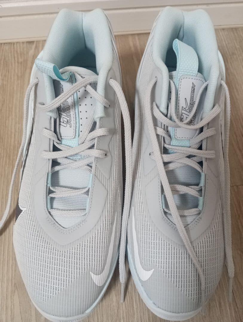 値下げ！Nike G.T. Jump Academy バスケットボールシューズ