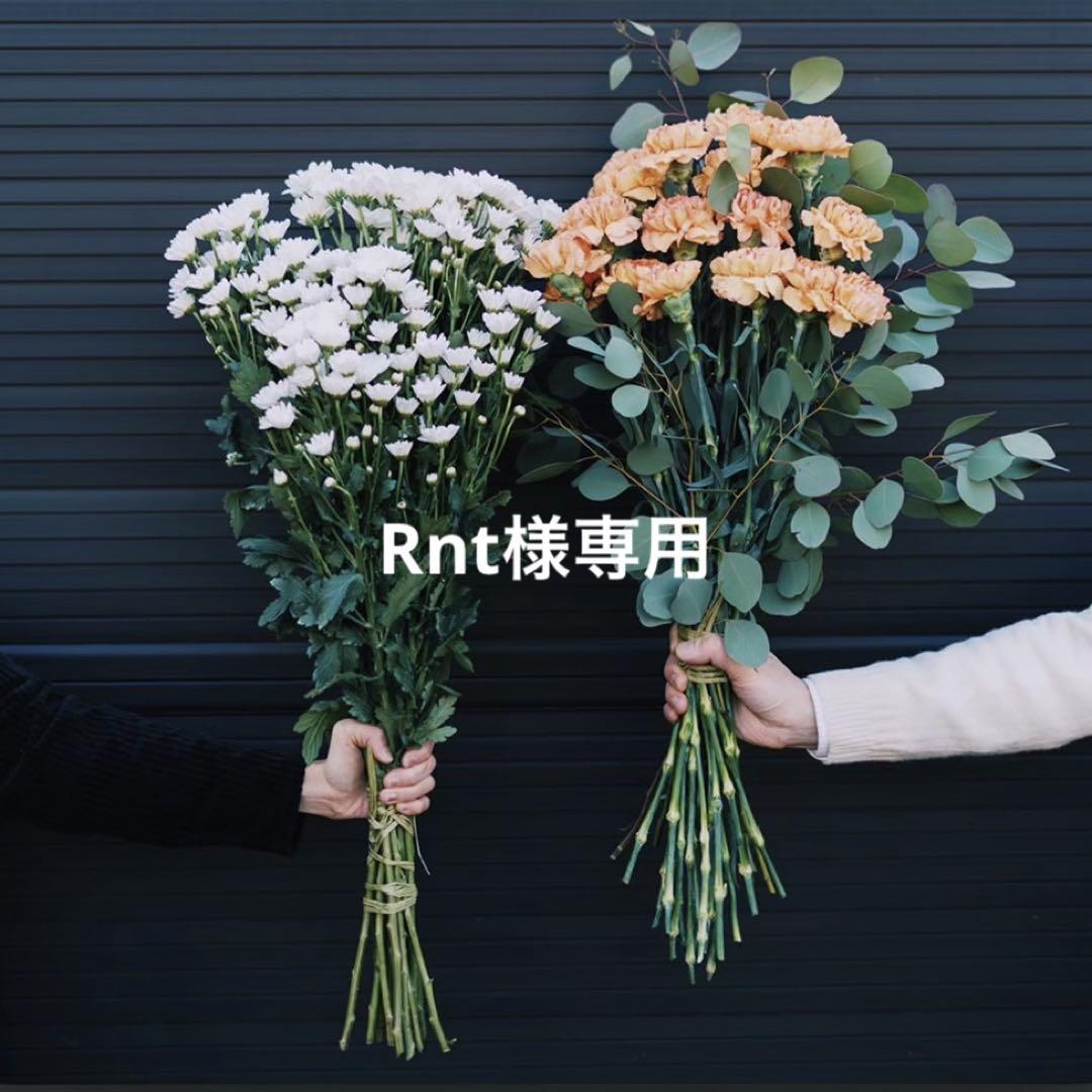 小物 Rnt
