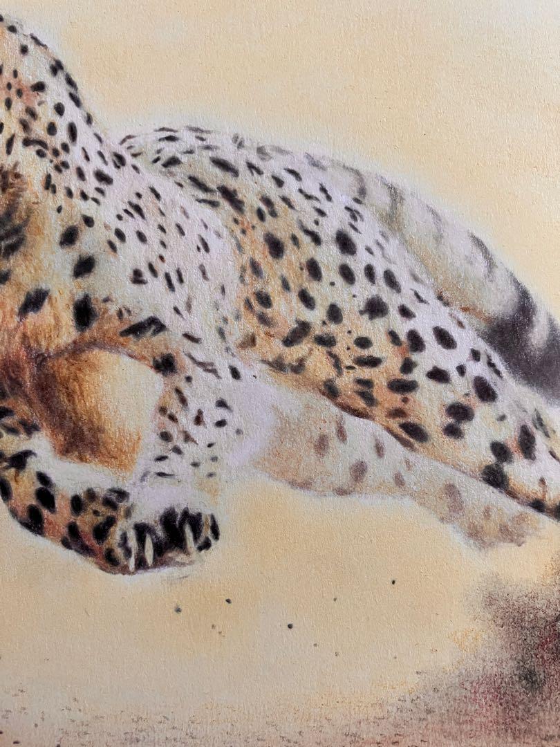 新発売 駆けるチーター 色鉛筆画 パステル 絵画
