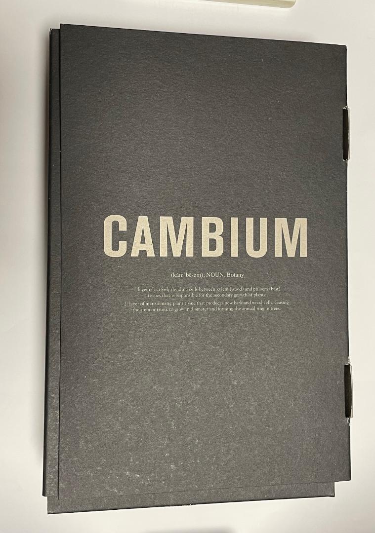 パーツ BROOKS CAMBIUM C17