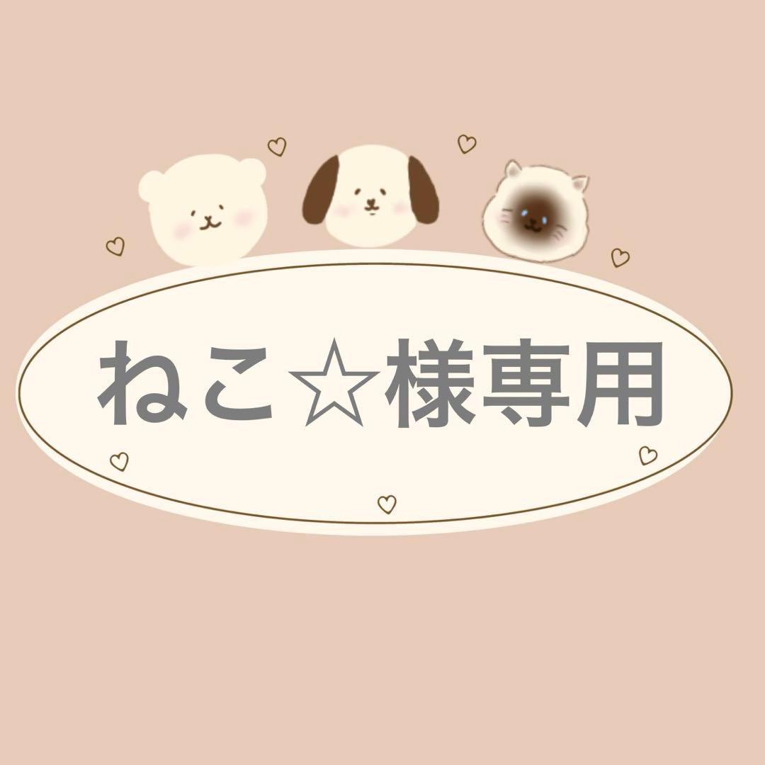 ねこ☆様専用　すのチルBIG ぬい服