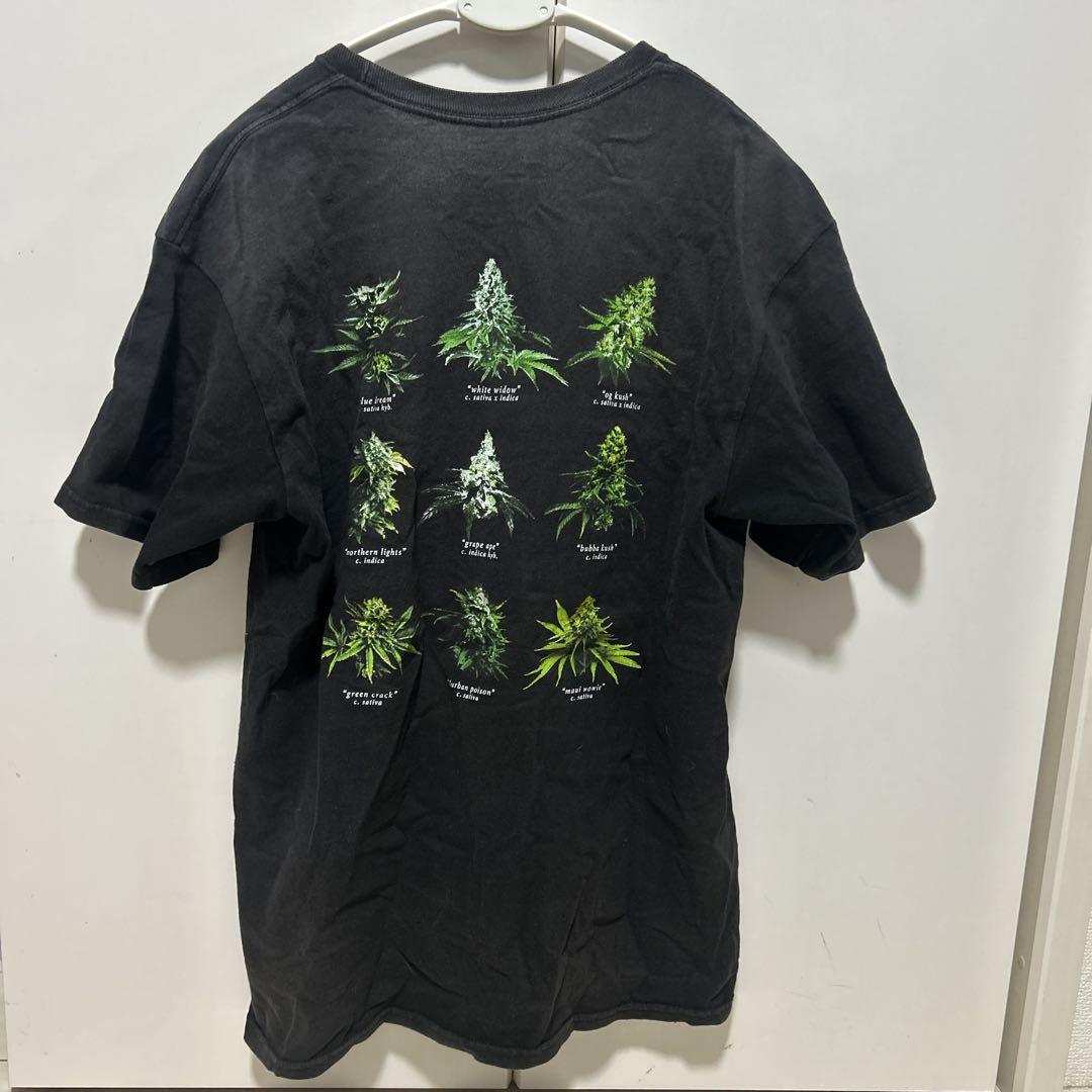 huf ハフ　植物グラフィックTシャツ ブラック