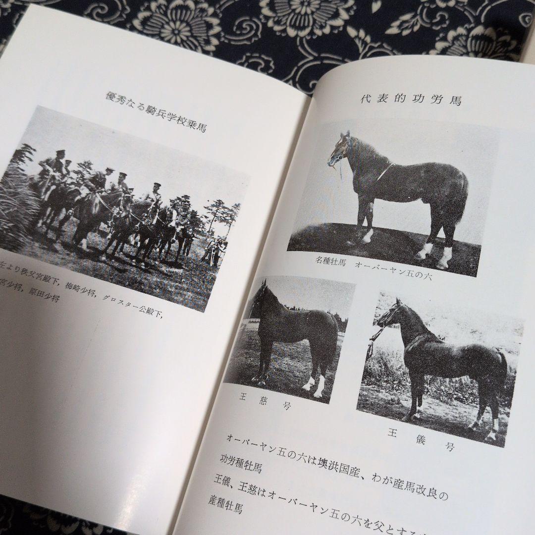 ★日本騎兵史 上巻・下巻 セット　軍馬　愛馬　騎兵　馬術競技　戦争記録 ☆日本騎兵史 上巻・下巻 セット 軍馬 愛馬 騎兵 馬術競技 戦争