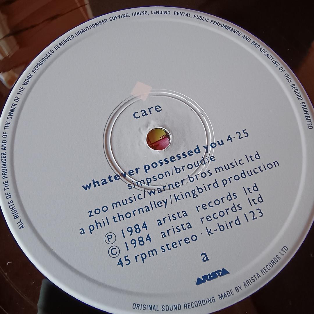 洋楽 whatever possessed you /care