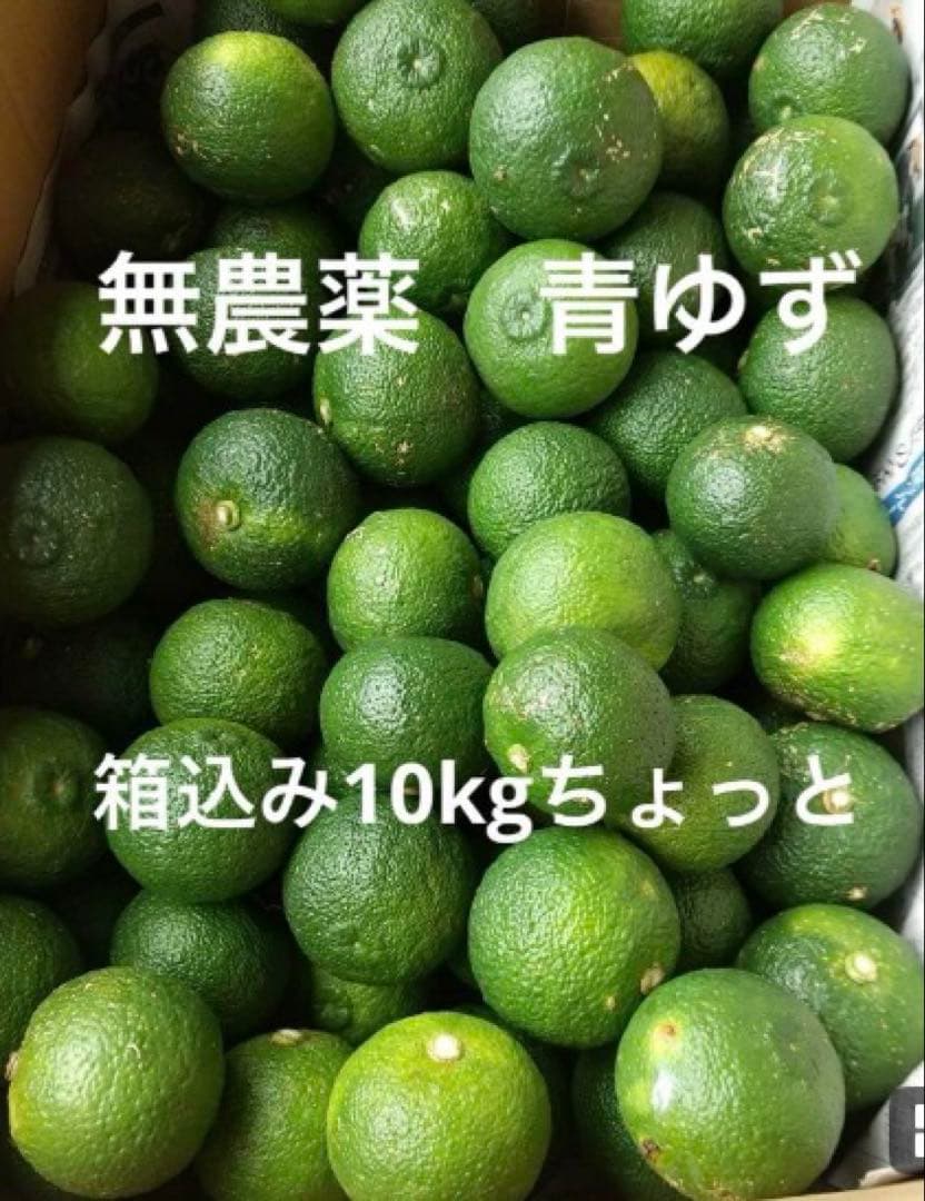完全無農薬　青ゆず　青柚子　箱込み10kgとちょっと入ります！