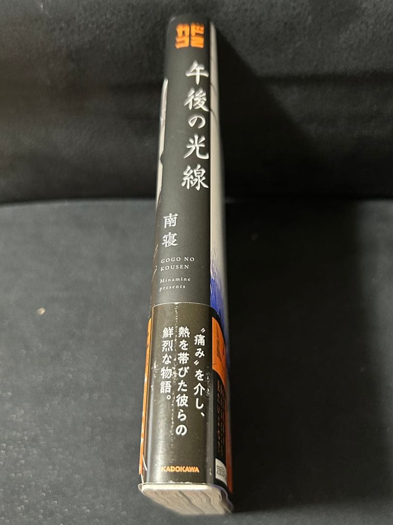 午後の光線 南寝 - メルカリ