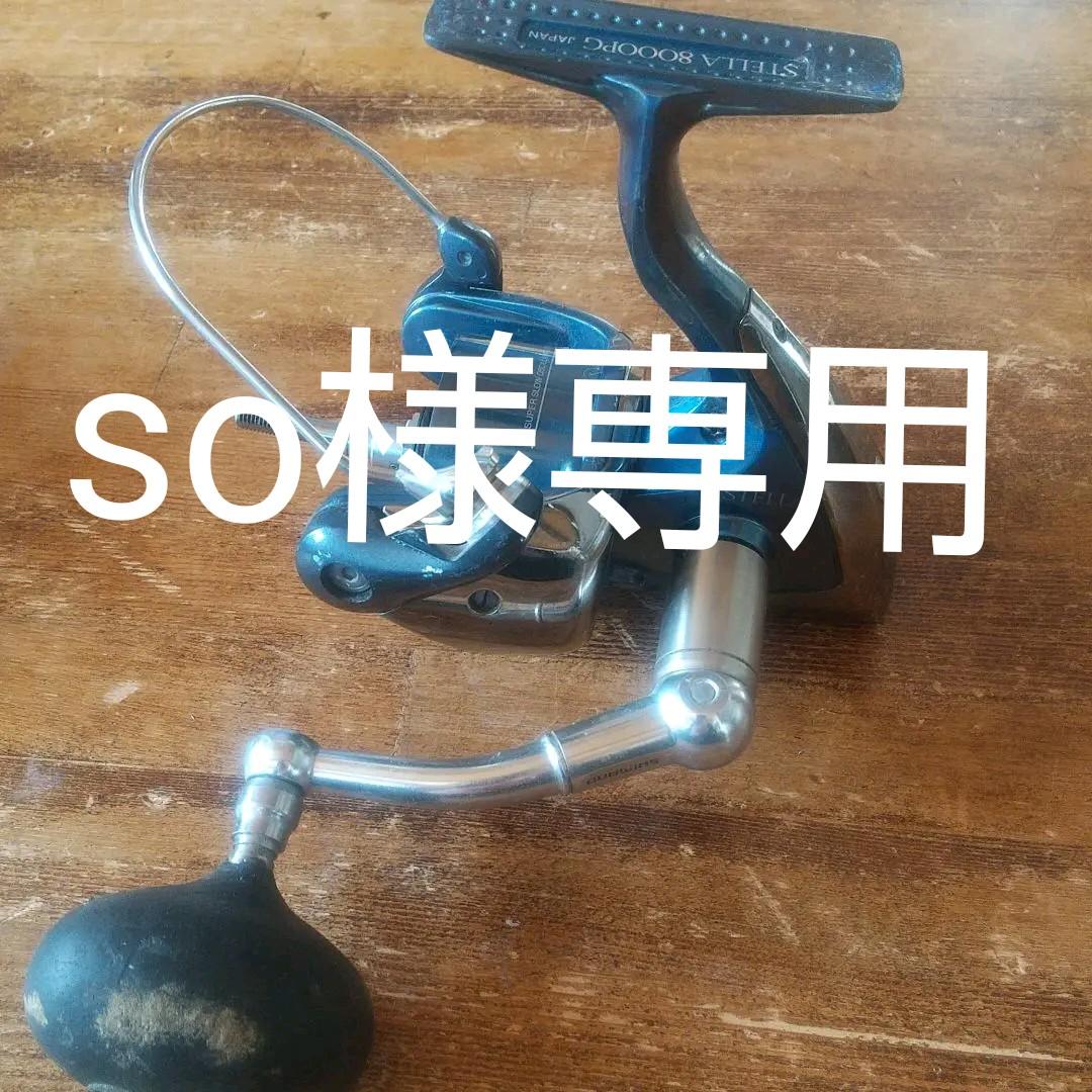 so 様専用 - www.vetrepro.fr 先行販売 so様 専用 ダウンジャケット
