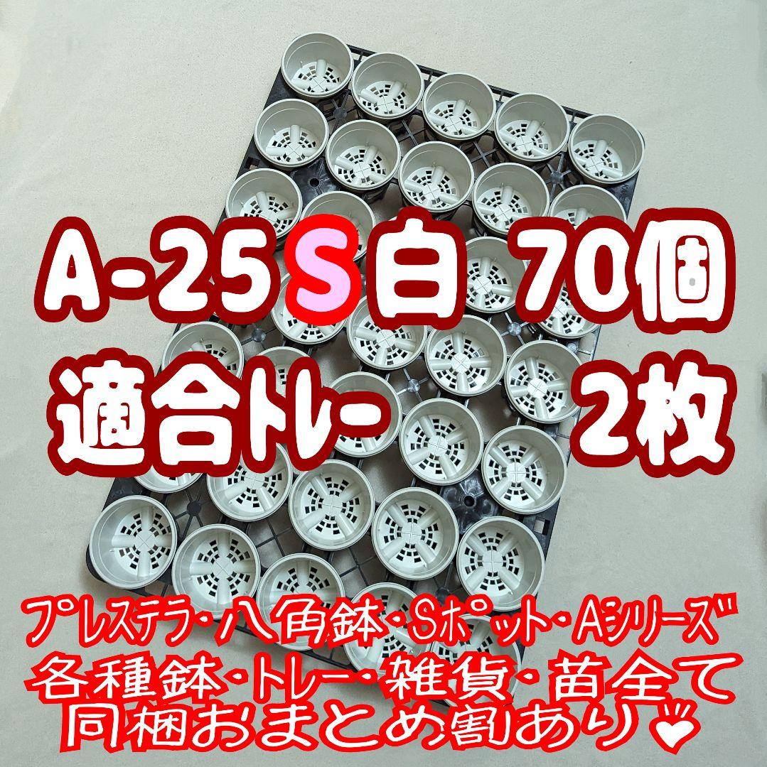 プラ鉢【A-25S】70個+専用システムトレー2枚スリット鉢プレステラ多肉植物