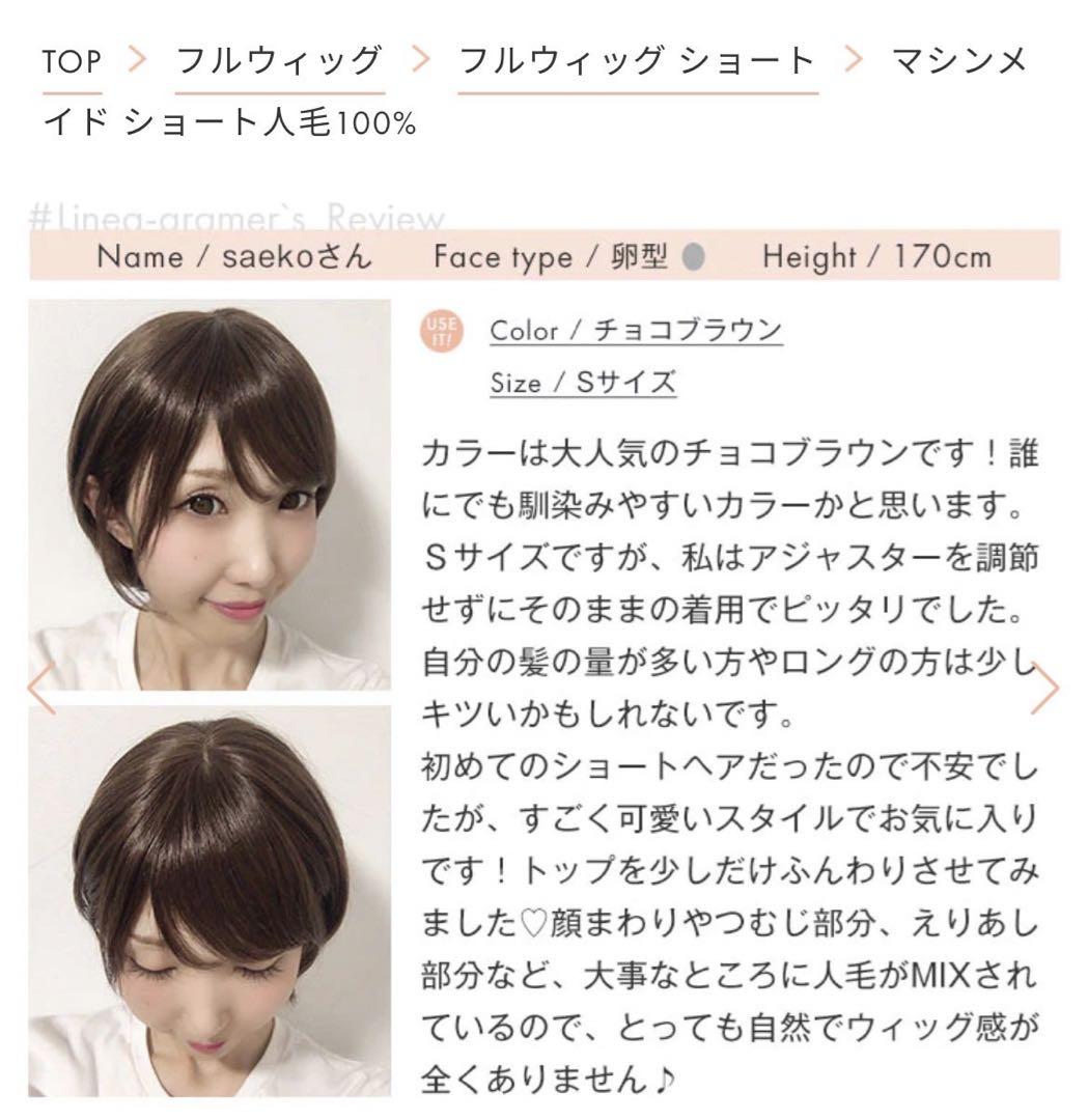 リネアストリア　フルウィッグ　ダークブラウン
