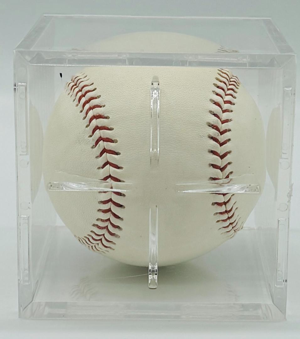 NPB 日本シリーズ公式試合球 2004 中日ドラゴンズ 西武ライオンズ