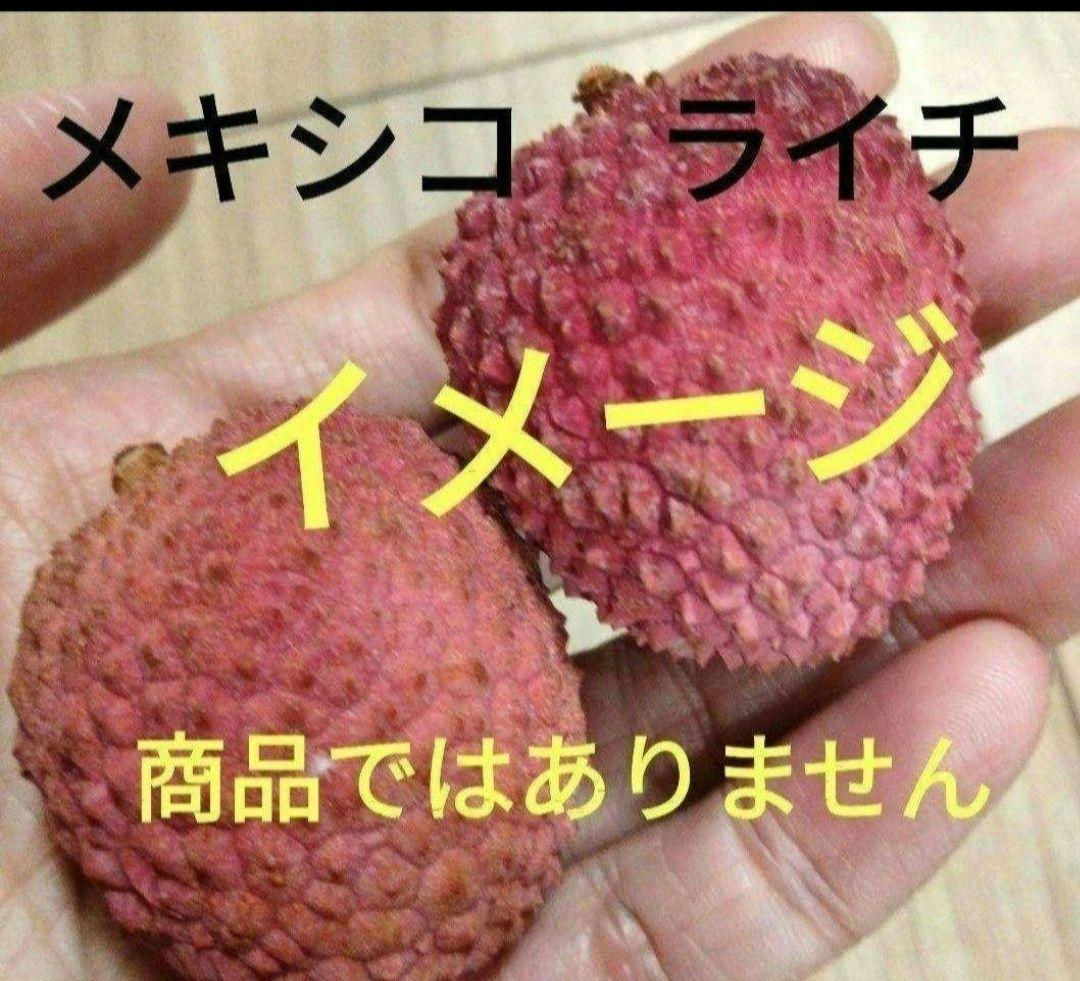 メルカリ便発送‼︎　レイオブライト変わり斑　レア‼︎　3本カット苗 イチジク苗木☆レア品 Bordissot Negra Rimada (BNR) - メルカリ