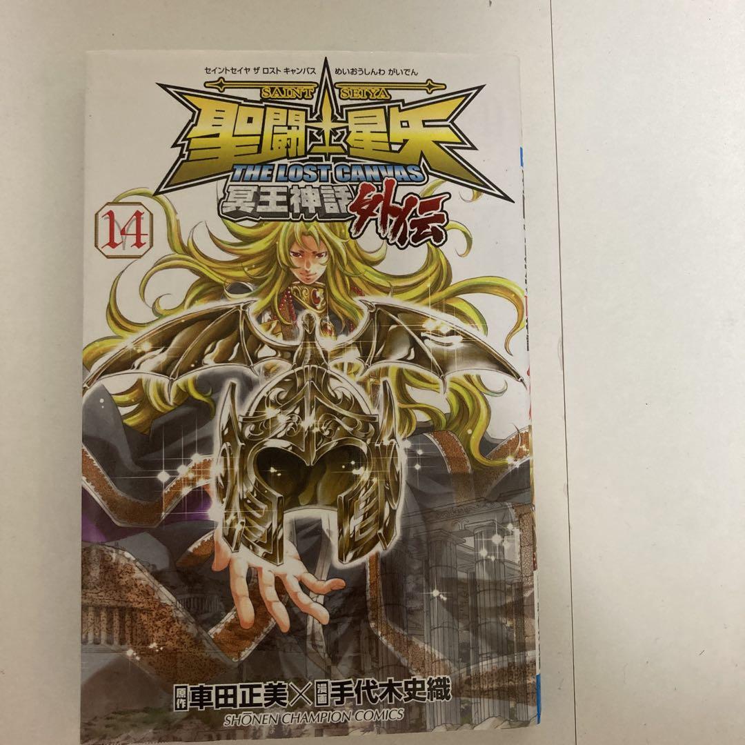 聖闘士星矢the lost canvas冥王神話 全25巻+外伝　全16巻セット