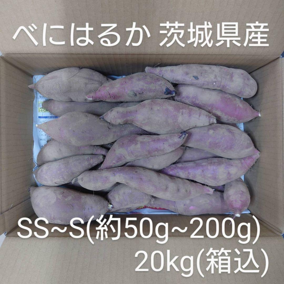 べにはるか 20kg(箱込) SS~S(約50g～200g) 茨城県産