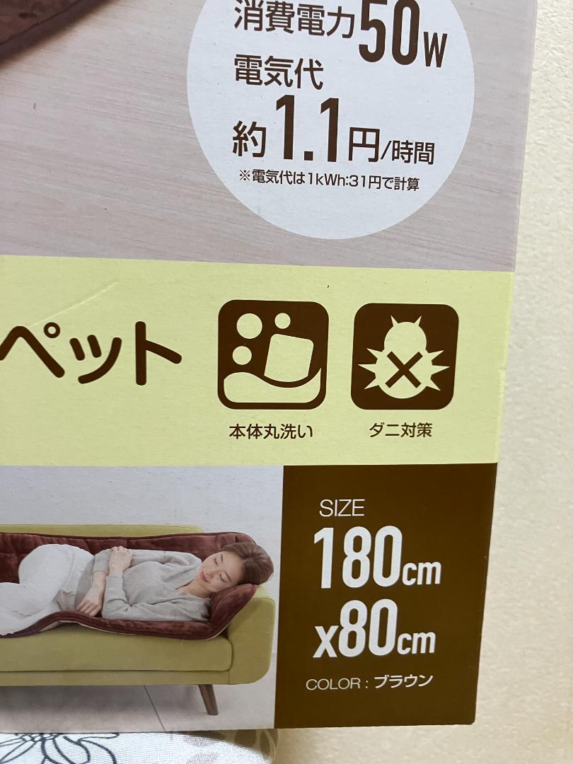 ホットカーペット  洗えるどこでもカーペット  80×180cm  ごろ寝