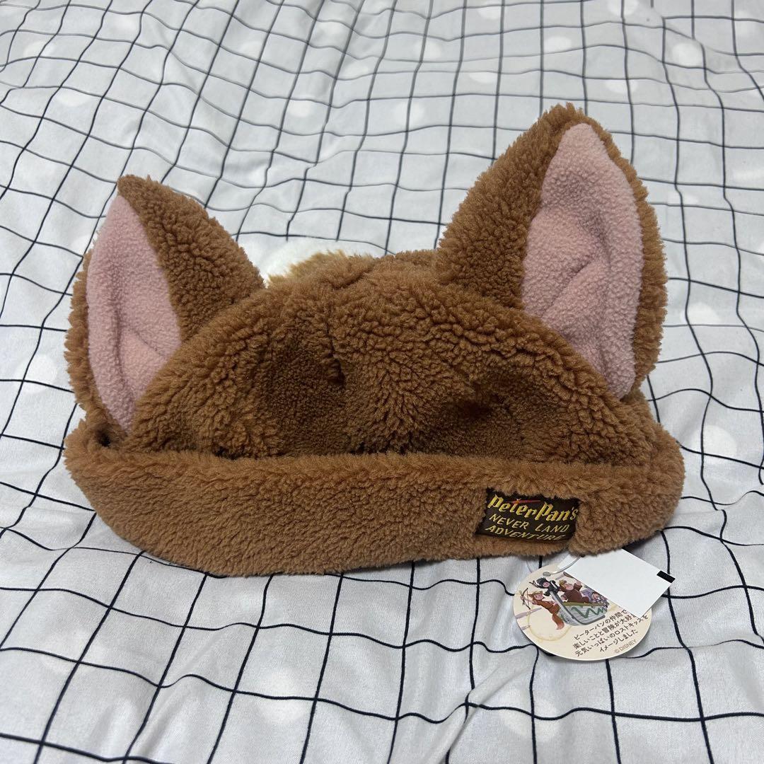 ディズニーシー ファンタジースプリングス ピーターパン ロストキッズ きつね