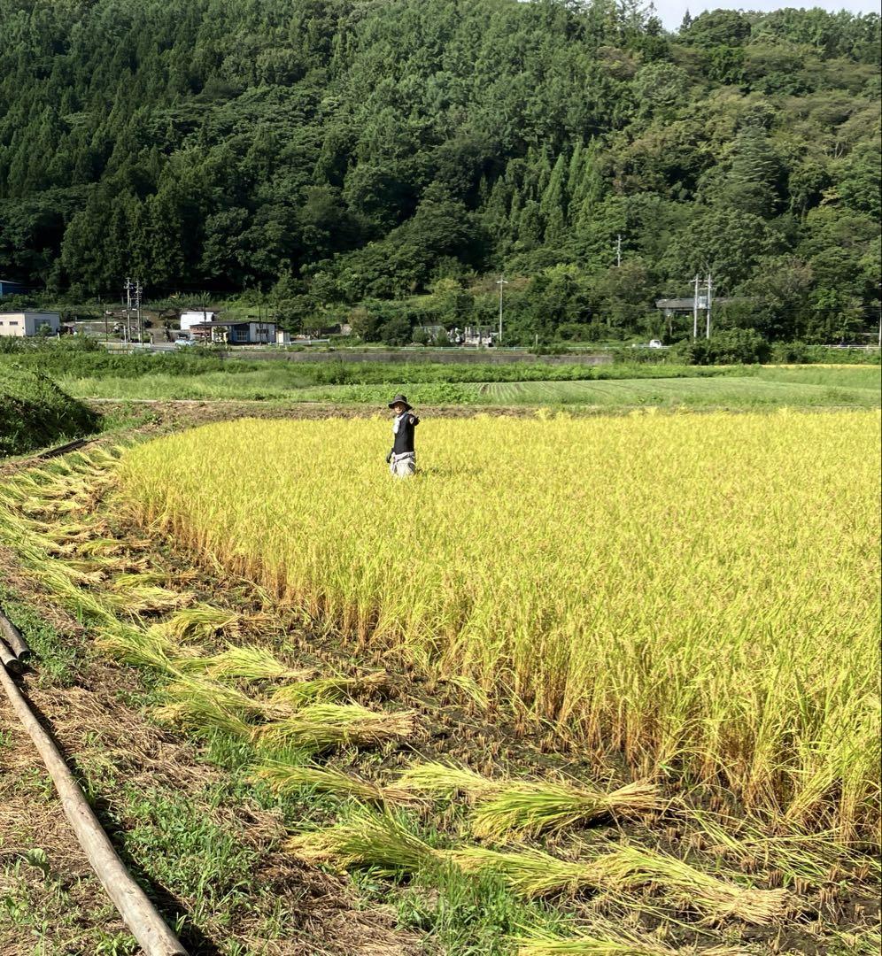 コシヒカリ100% はざかけ米 玄米