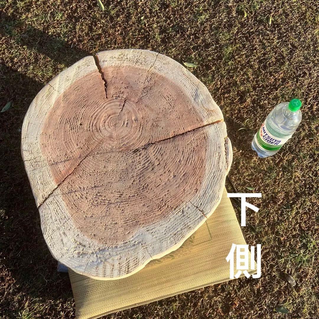 春先取りの 丸太椅子(とんころ椅子) スツール - education.semel.ucla.edu