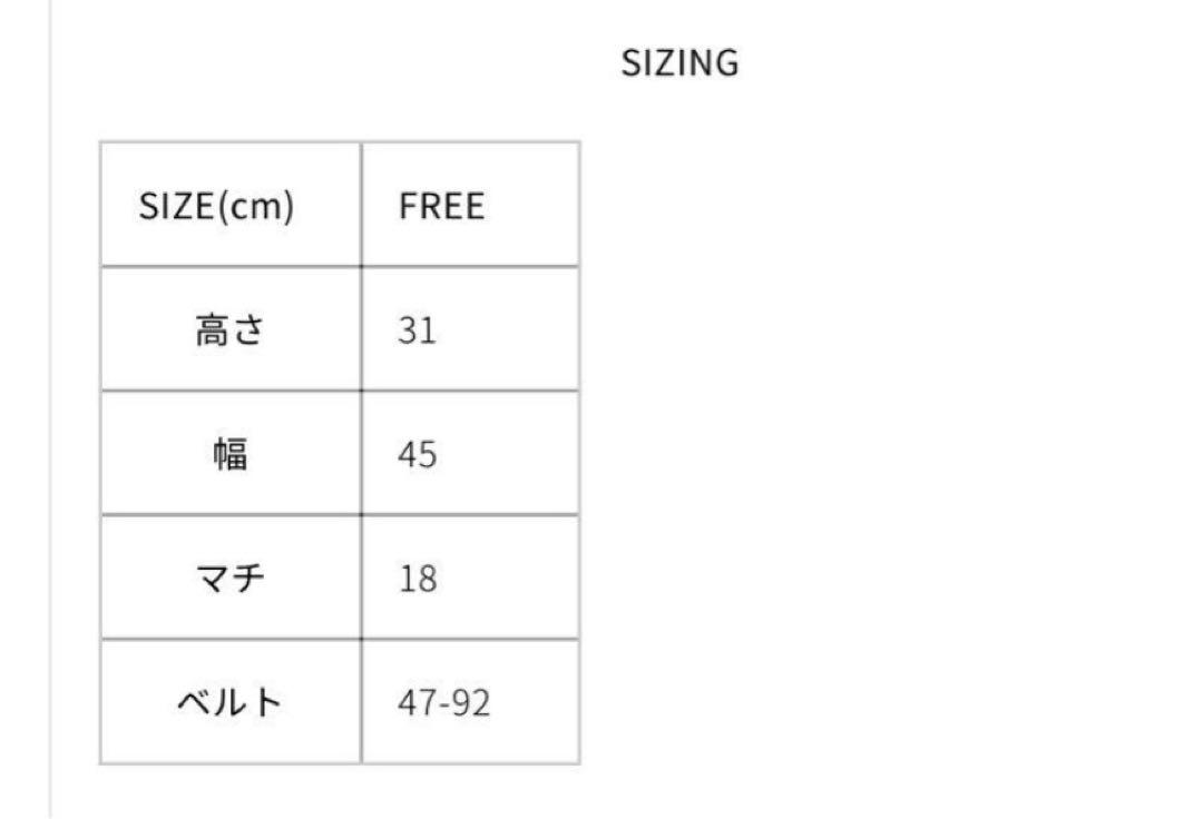 Shinzone別注 AMIACALVA MESSENGER BAG