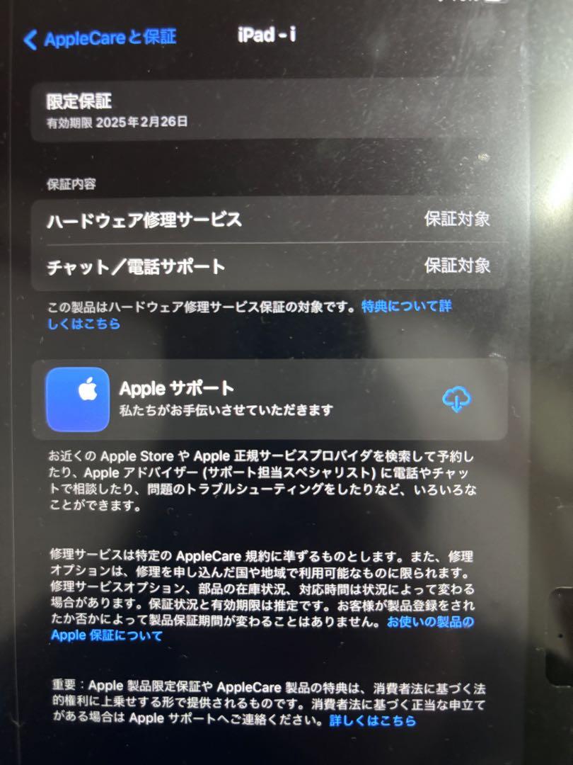 iPad 第10世代　Wi-Fiモデル　256GB