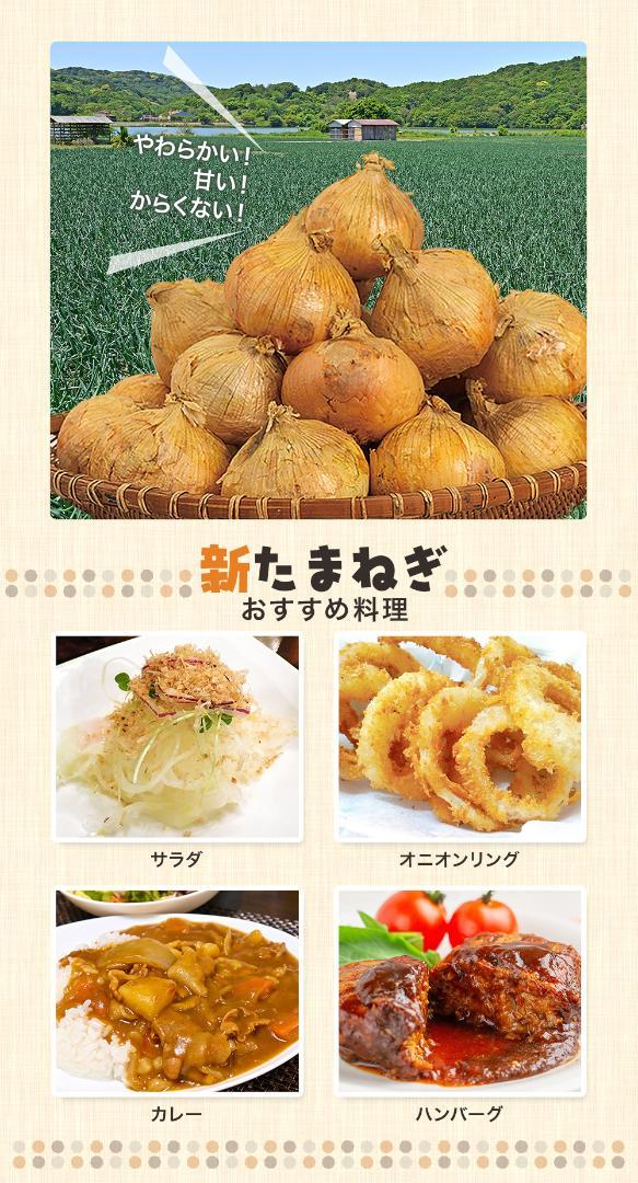 野菜3種セット（新たまねぎ・にんじん・新じゃがいも）各約３kg 合計９kg