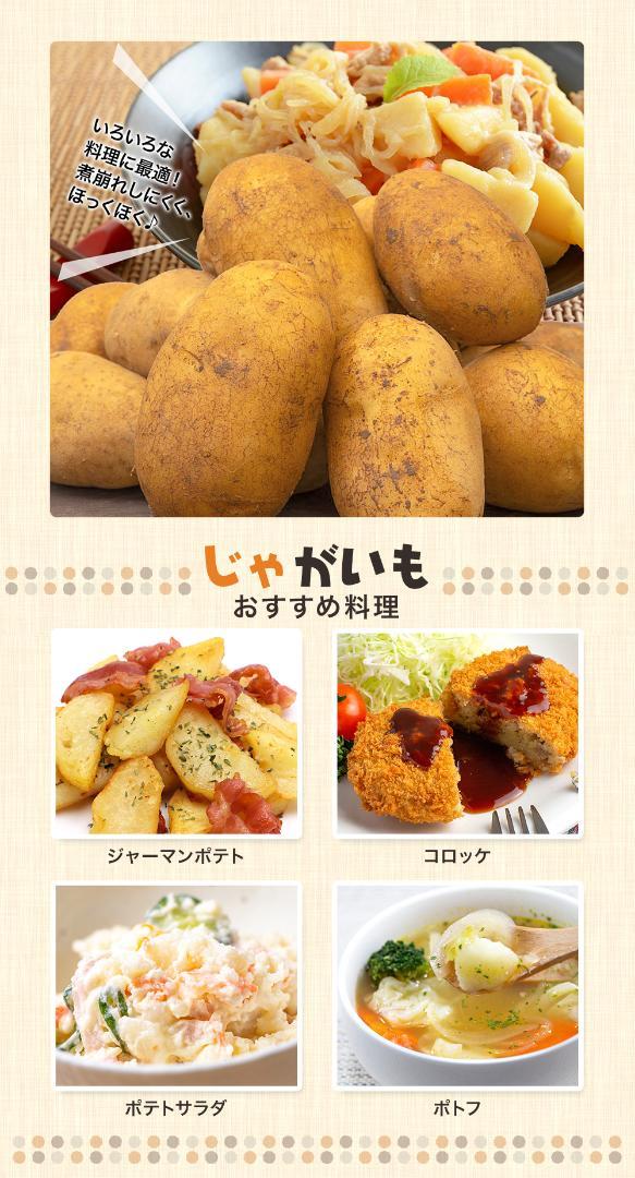 野菜3種セット（新たまねぎ・にんじん・新じゃがいも）各約３kg 合計９kg
