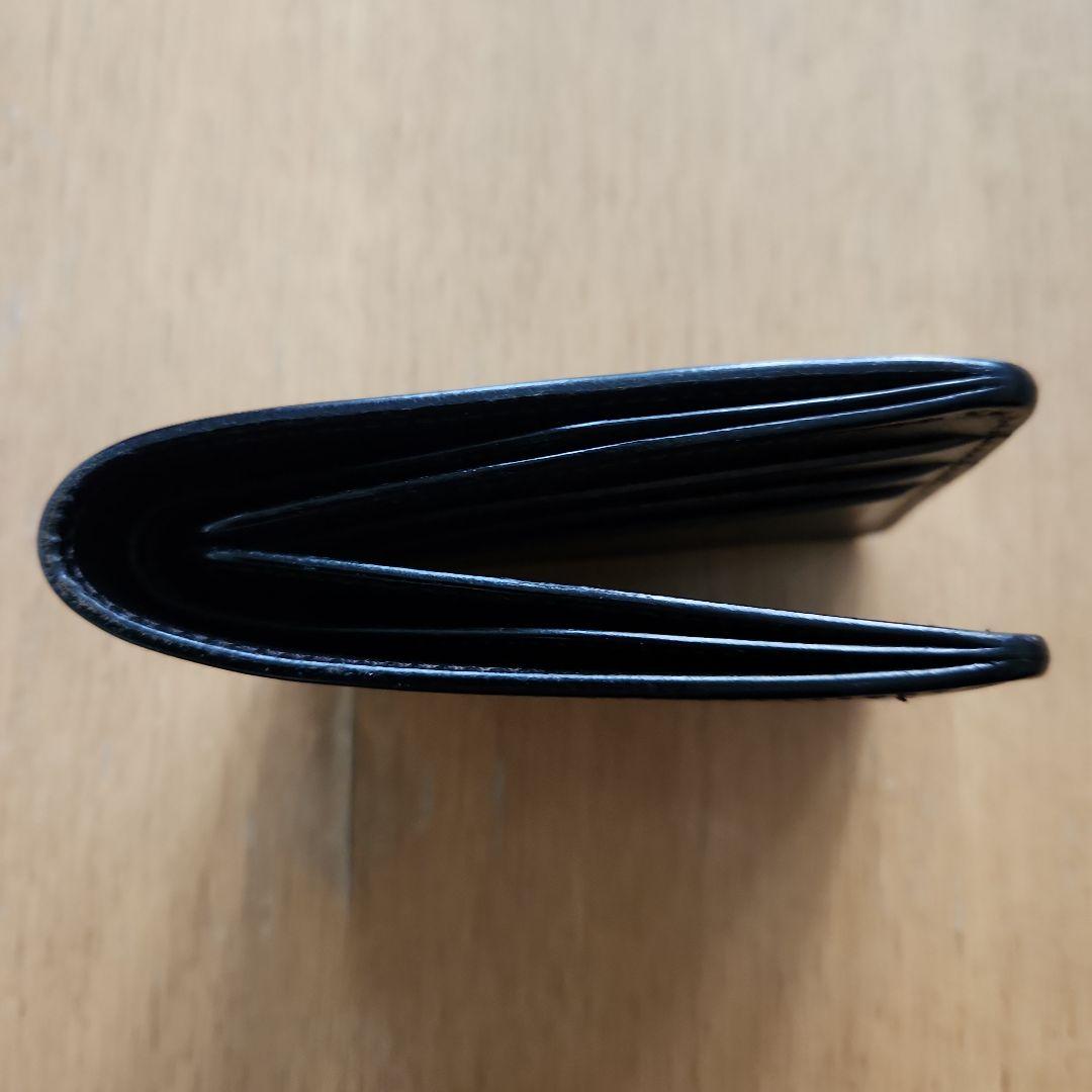 WILDSWANS ワイルドスワンズ WINGS 王冠ロゴ