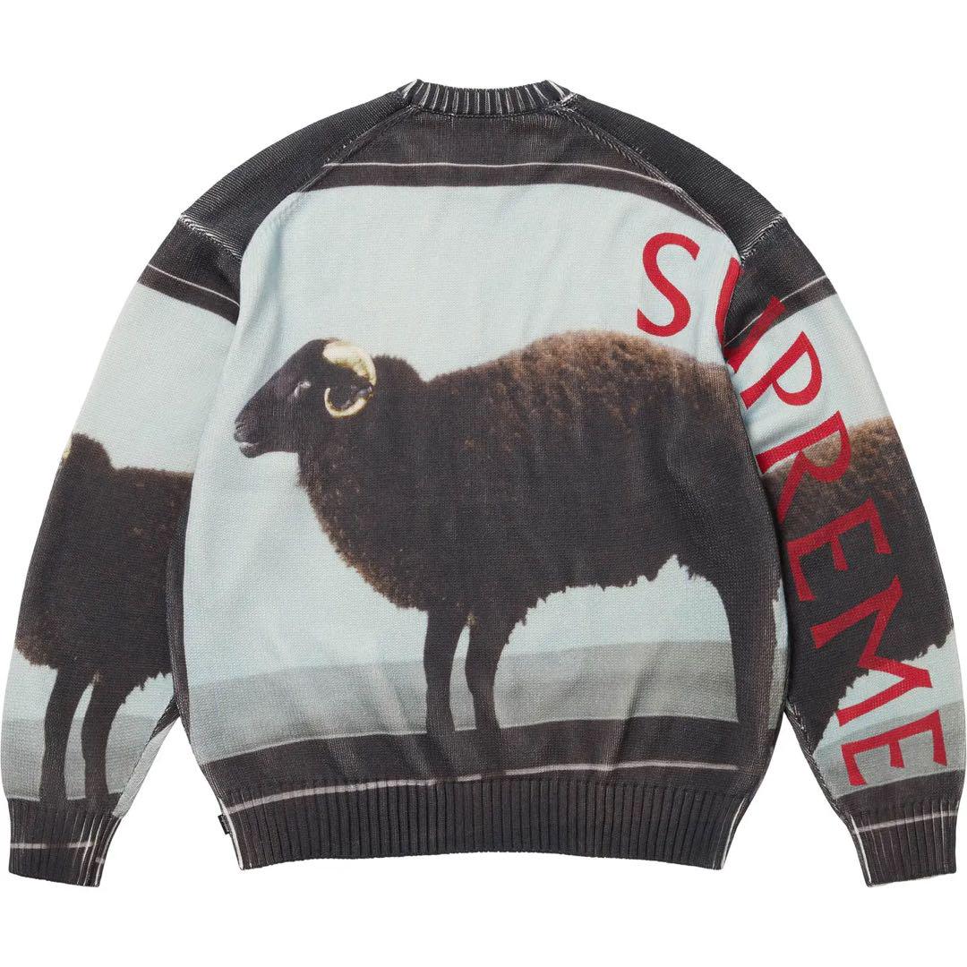 トップス M Supreme Damien Hirst Sweater