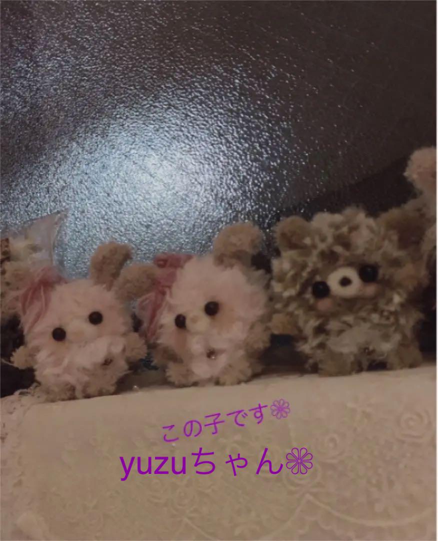 済み yuzuちゃん❁︎ご購入ページ
